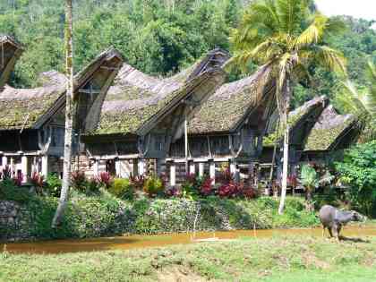 Rumah Adat Tongkonan di Kete' Kesu' (Foto: Swary Utami Dewi, Mei 2007)
