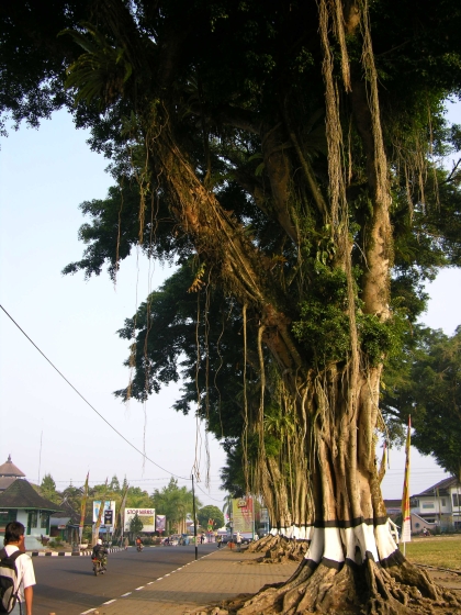 Salah Satu Sudut Kota Wonosobo (Foto: Azharuddin, Juni 2006)